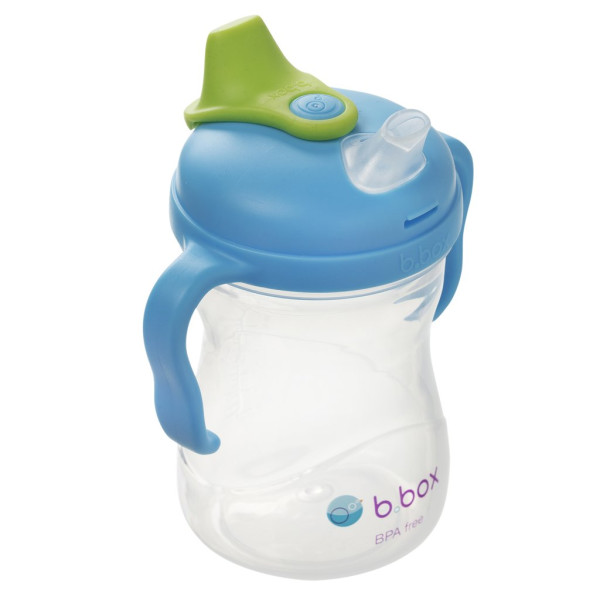B.Box Spout Cup