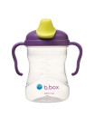 B.Box Spout Cup