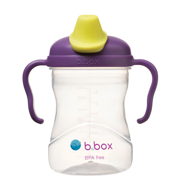 B.Box Spout Cup