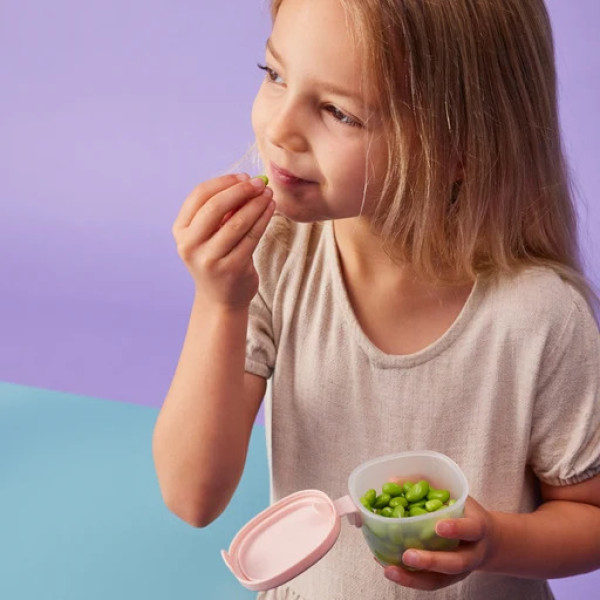 B.Box Snack Tubs