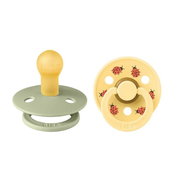 Bibs Color Pacifier Studio 2pck Ladybug -Sage Mix