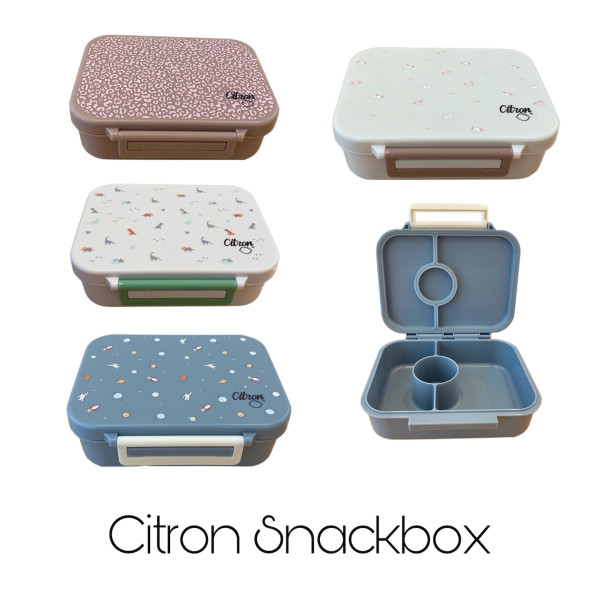 Citron Tritan Snackbox