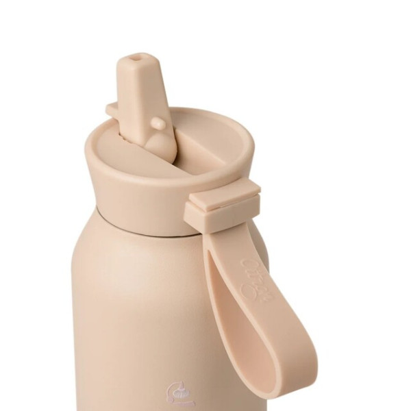 Citron Stainless Steel Water Bottle 500ml