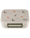 Citron Tritan Snackbox