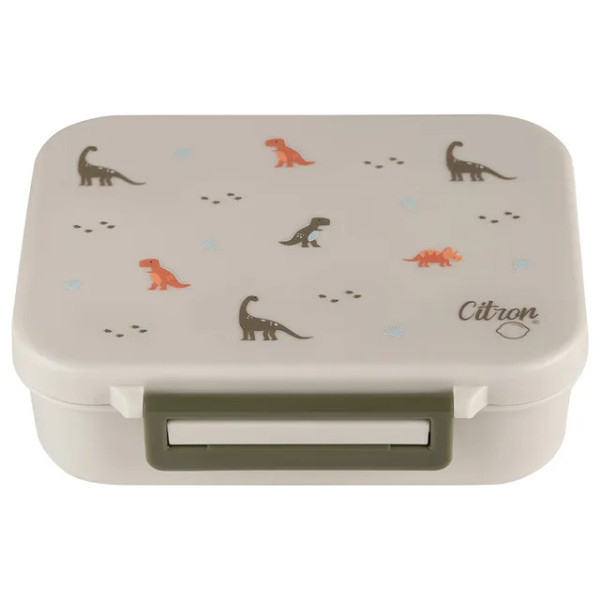 Citron Tritan Snackbox