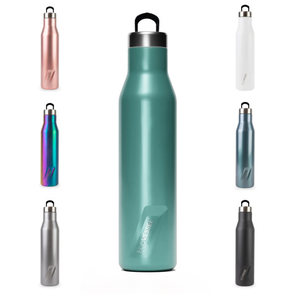 Ecovessel The 2022 Aspen 16oz - TriMax Insulated Stainless Steel Water Bottle with Hidden Handle 