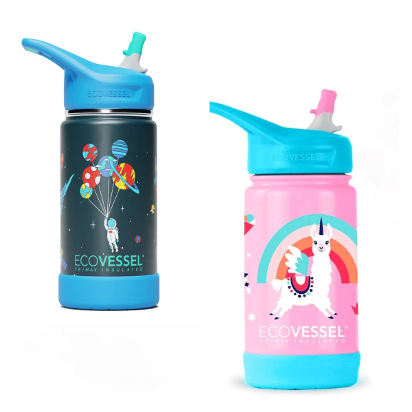 Ecovessel The Frost - Insulated Stainless Steel Kids Water Bottle with Straw 12oz