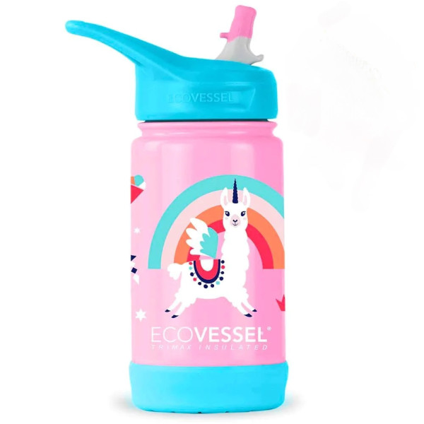 Ecovessel The Frost - Insulated Stainless Steel Kids Water Bottle with Straw 12oz