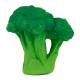 Brucy Broccoli