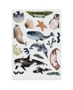 Nuuk Kids Organic Vegan Tattoos |I Can Swim