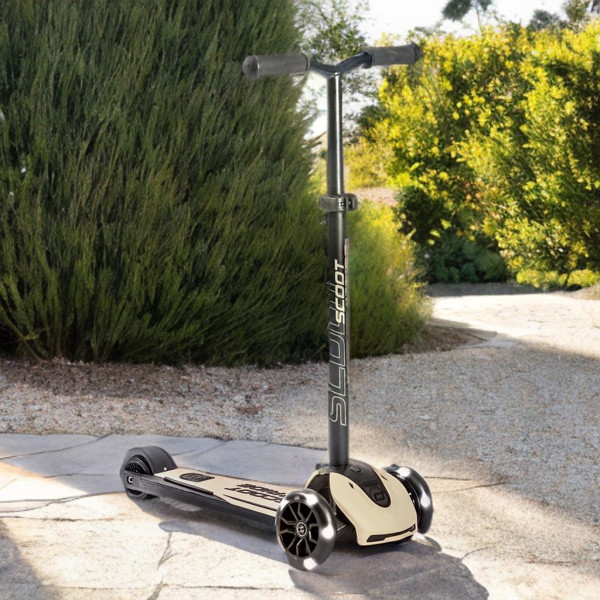 Scoot & Ride Highwaykick 5 LED|Ash