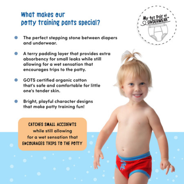 Zoocchini Organic Potty Traning Pants 3pcs Sea Crew